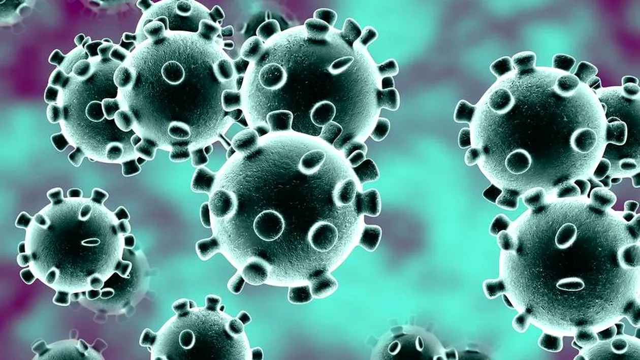 Moare virusul COVID-19 la căldură? Avertismentul medicului-șef al Societății Române de Epidemiologie