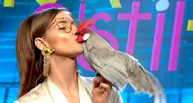 Galerie foto - poza 1