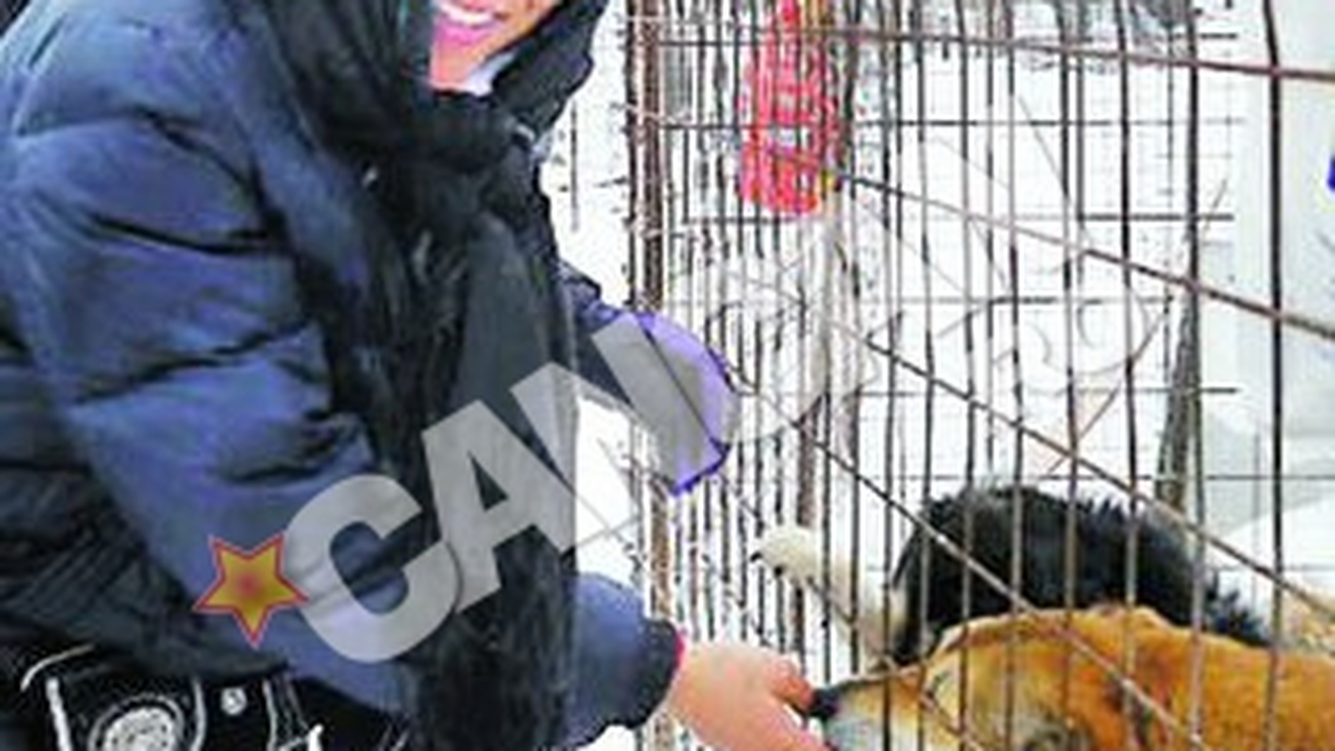 Nadine a ajutat la deszapezirea adapostului de caini din Glina! A dat aproape trei ore la lopata