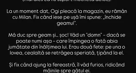 Galerie foto - poza 2