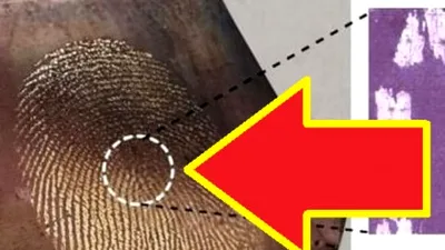 Doi oameni de știință au reușit imposibilul!