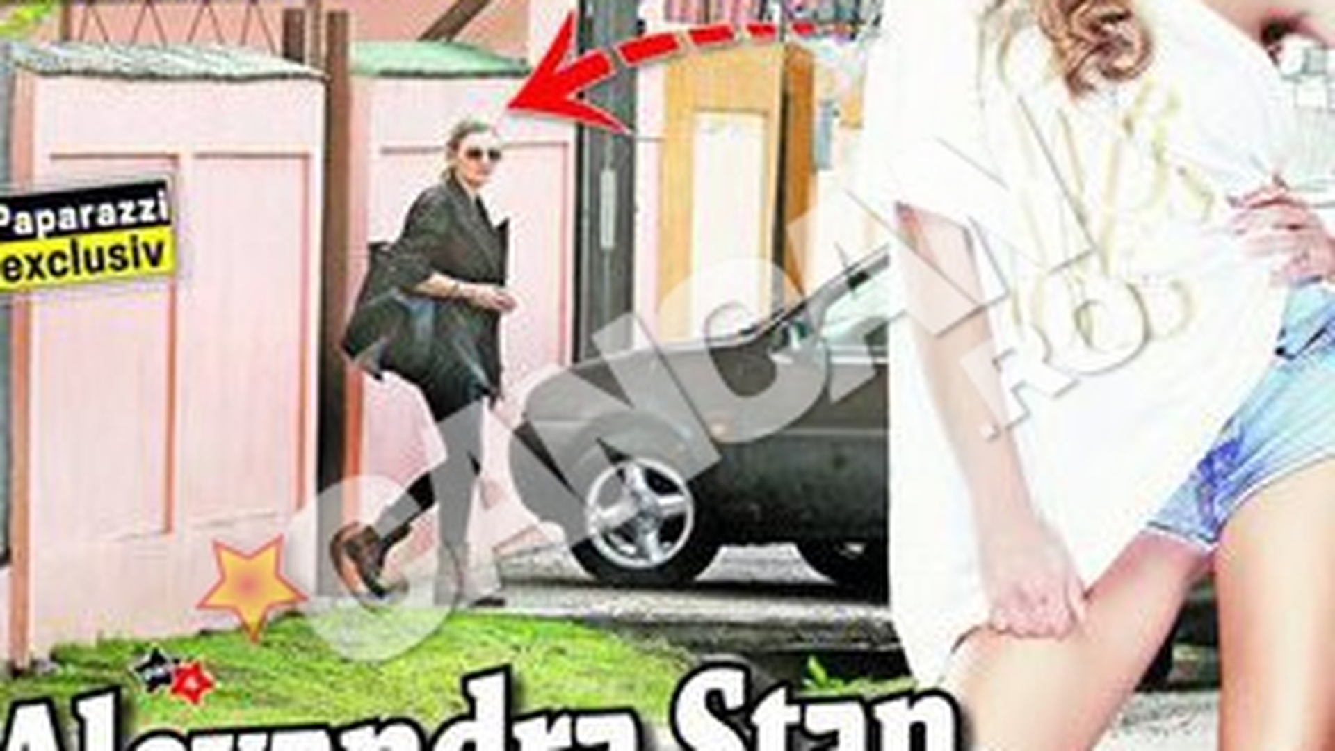 Drumul Alexandrei Stan catre succes a inceput de jos! La 18 ani a servit la mese intr-un birt