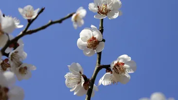 Vremea se schimbă radical în Săptămâna Mare! ANM a actualizat prognoza meteo: cum va fi de Paște