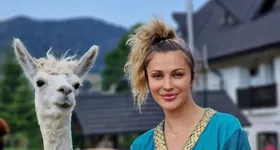 Galerie foto - poza 4