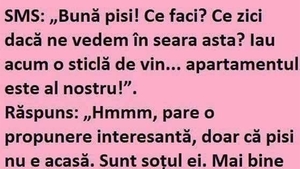 BANCUL ZILEI | SMS: "Bună pisi. Ce zici, ne vedem în seara asta?"