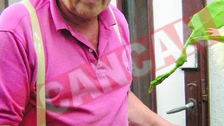 Castane cu chip de om