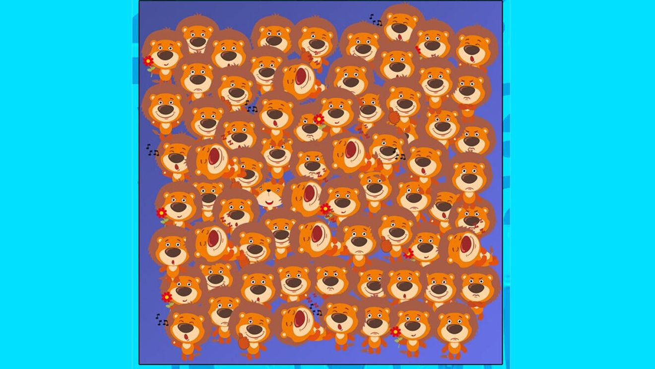 Iluzie optică virală | Găsiți vulpea infiltrată printre urși!