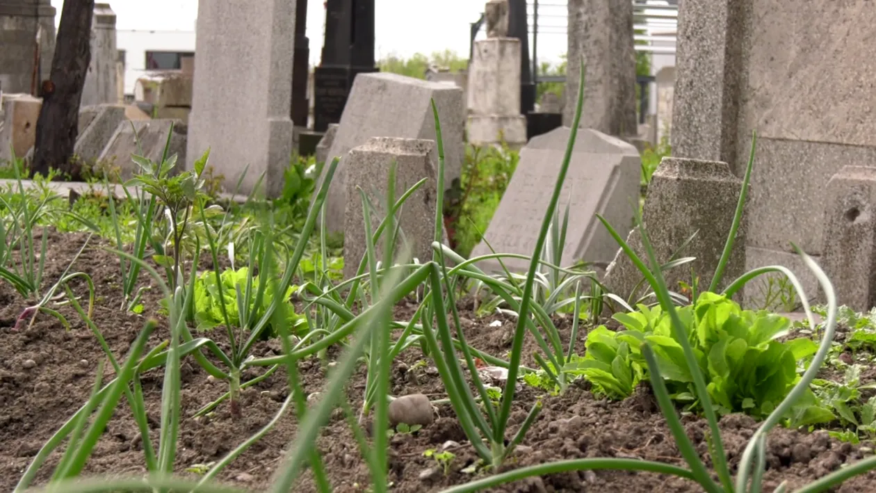 A cultivat ceapă printre morminte! Dar ce s-a întâmplat în urmă cu mai mulți ani e uluitor