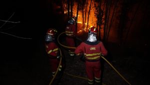 Incendii masive de vegetație în Spania! 2.500 de persoane au fost evacuate dintr-o regiune unde muncesc mii de români