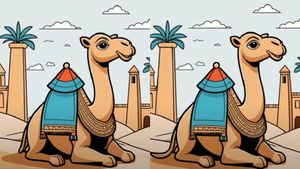 Test IQ | Găsește toate diferențele dintre aceste 2 imagini. Dacă o faci în 25 de secunde, ești un geniu