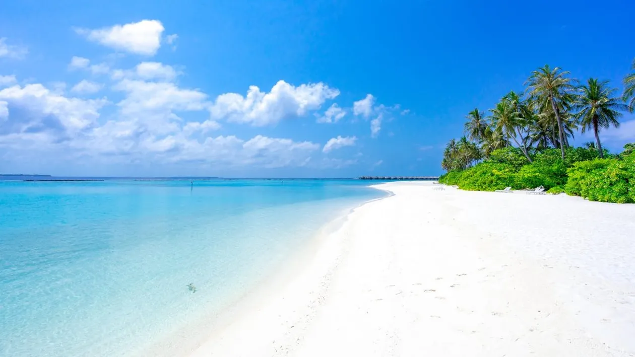 Horoscop zilnic 7 august 2021. Taurii au parte de o schimbare majoră în plan personal