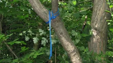 Caz oribil in Dâmboviţa! O fetiţă de patru ani a fost spânzurată de tatăl ei. Bărbatul a incercat să se sinucidă