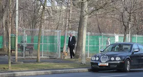 Galerie foto - poza 3