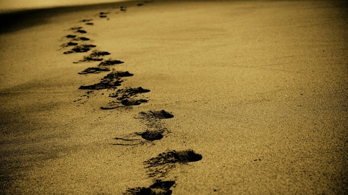Când se va deschide sezonul turistic pe Litoral. Anunțul optimist al ministrului Economiei: „Toți ne dorim ca în august...”