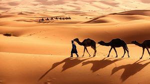 GALERIE FOTO. Zăpadă în deșertul Sahara, după o ninsoare extrem de rară