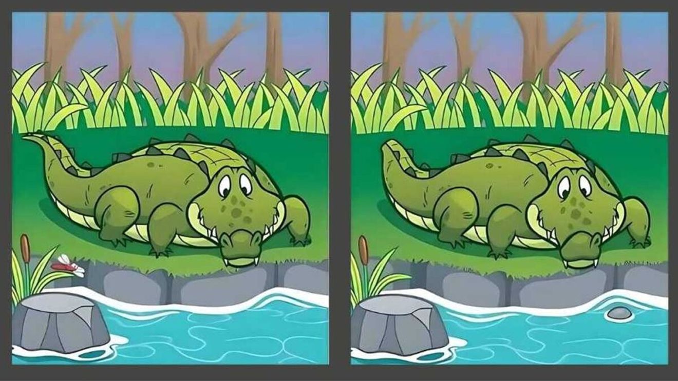 Test de logică | 5 diferențe în 17 secunde. Le puteți găsi?