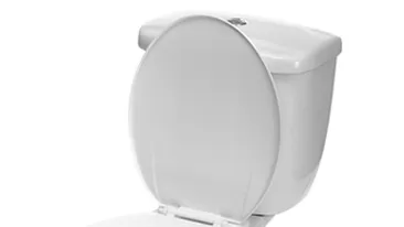 Un primar din Dolj a facut WC de 90.000 de lei in curtea scolii