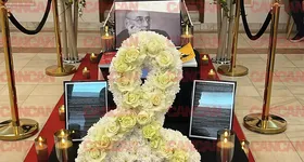 Galerie foto - poza 1