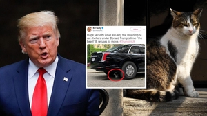 Donald Trump, umilit de cel mai cunoscut motan din Marea Britanie! Cum i-a ”blocat” mașina blindată