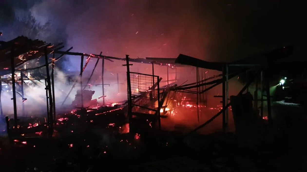 Incendiu puternic la un adăpost de animale din Dâmbovița! Îngrijitoarea intoxicată, zeci de animale moarte