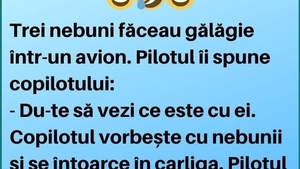 Bancul zilei. Trei nebuni făceau gălăgie într-un avion