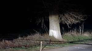 Hoţii sunt inventivi în judeţul Ialomiţa. Prin ce metodă fură acum. “Un furtun...”