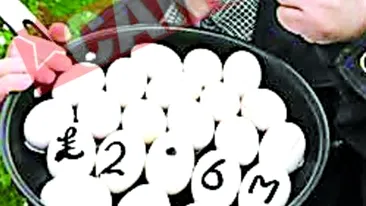 A castigat peste trei milioane de euro la loto