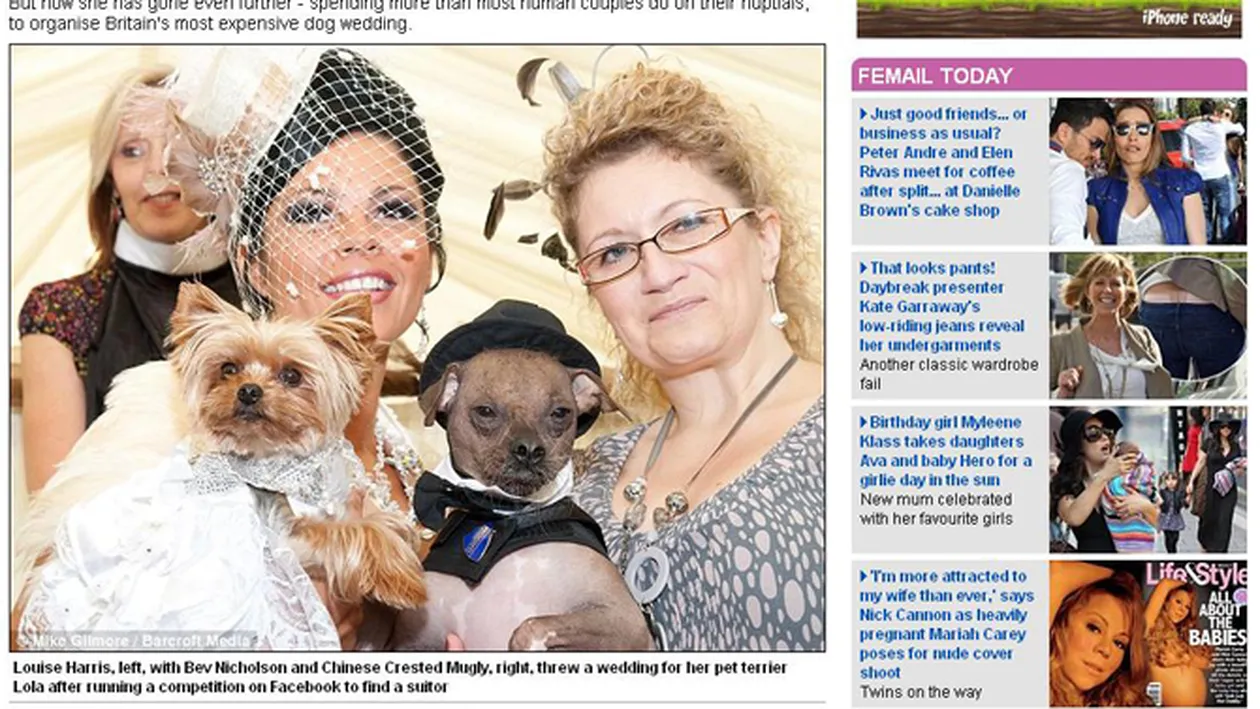 Cea mai scumpa nunta canina a costat 20.000 de lire sterline