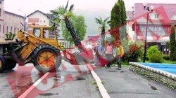 Mai multi palmieri decat trandafiri, la Nasaud