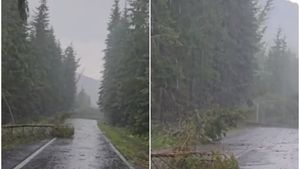 Furtună violentă, grindină de dimensiuni mari. Zonele din România unde cerul s-a dezlănțuit VIDEO