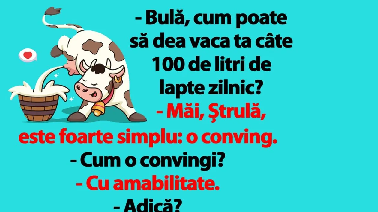 BANC | Bulă, cum poate să dea vaca ta câte 100 de litri de lapte zilnic?