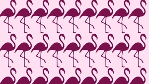 TEST IQ | Găsiți care pasăre flamingo este diferită de toate celelalte