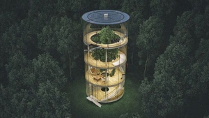Un arhitect construieşte o casă în jurul unui copac! Vezi cum va arăta minunăţia arhitecturală! 