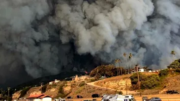 Bilanțul incendiilor de vegetație din California a ajuns la 48 de morți