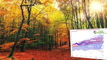 Cum va fi vremea în luna noiembrie în România. Unde va ninge înainte să vină iarna, din punct de vedere calendaristic