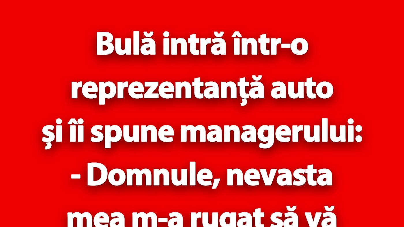 BANC | Bulă intră într-o reprezentanță auto