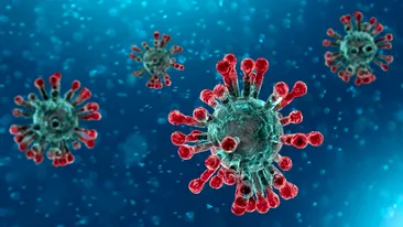 Anunț de ultimă oră de la Matei Balș: Medicii au comunicat rezultatele testelor coronavirus