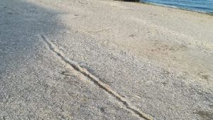 Aroganță de prost gust la Eforie Nord. A intrat cu mașina pe plajă și...