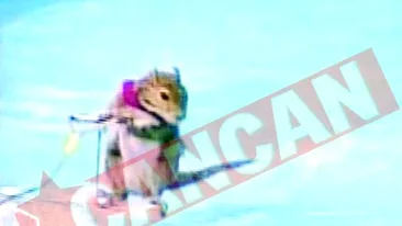 Veverita pasionata de schi nautic