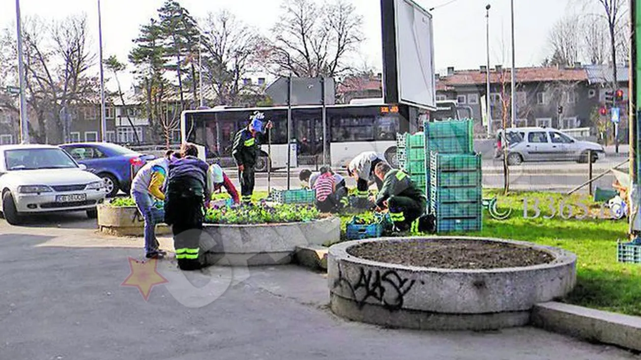 Vrei ajutor social? Fii gata sa muncesti in folosul comunitatii