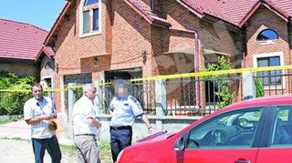 Hotii au intrat noaptea in vila Andreei Cretulescu