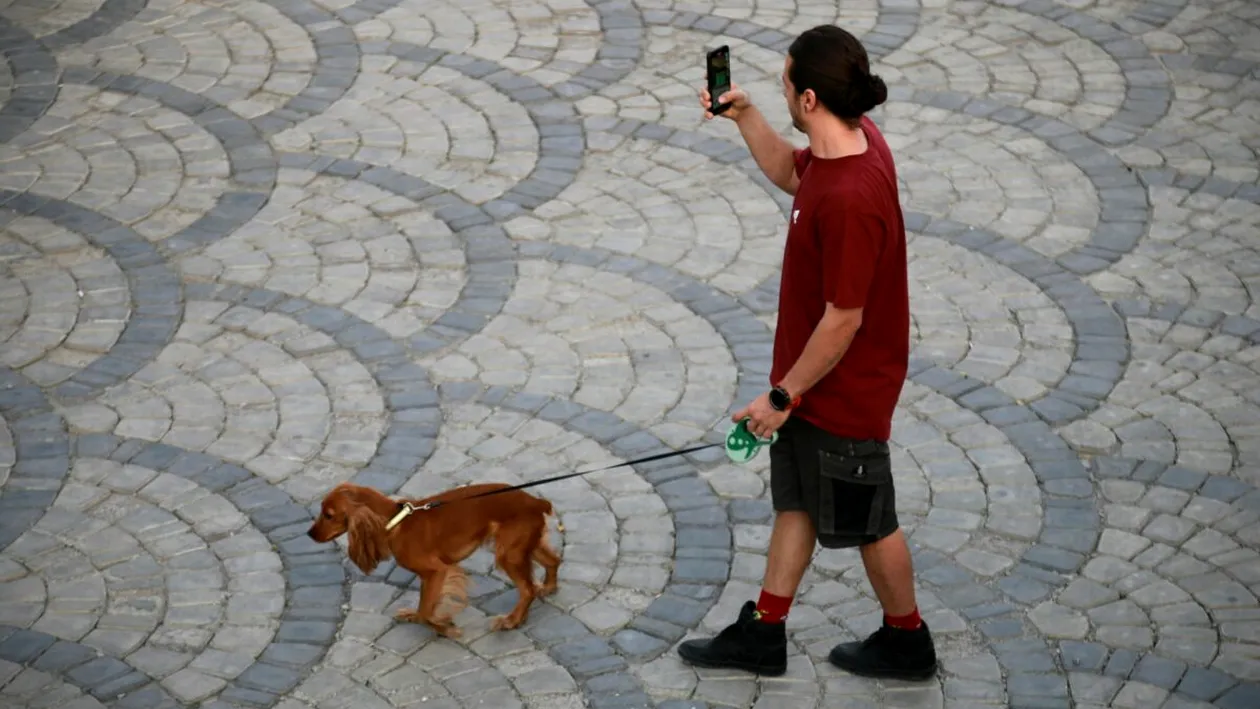 De ce a interzis Iranul plimbatul câinilor în spațiile publice. Acum autoritățile extind măsura