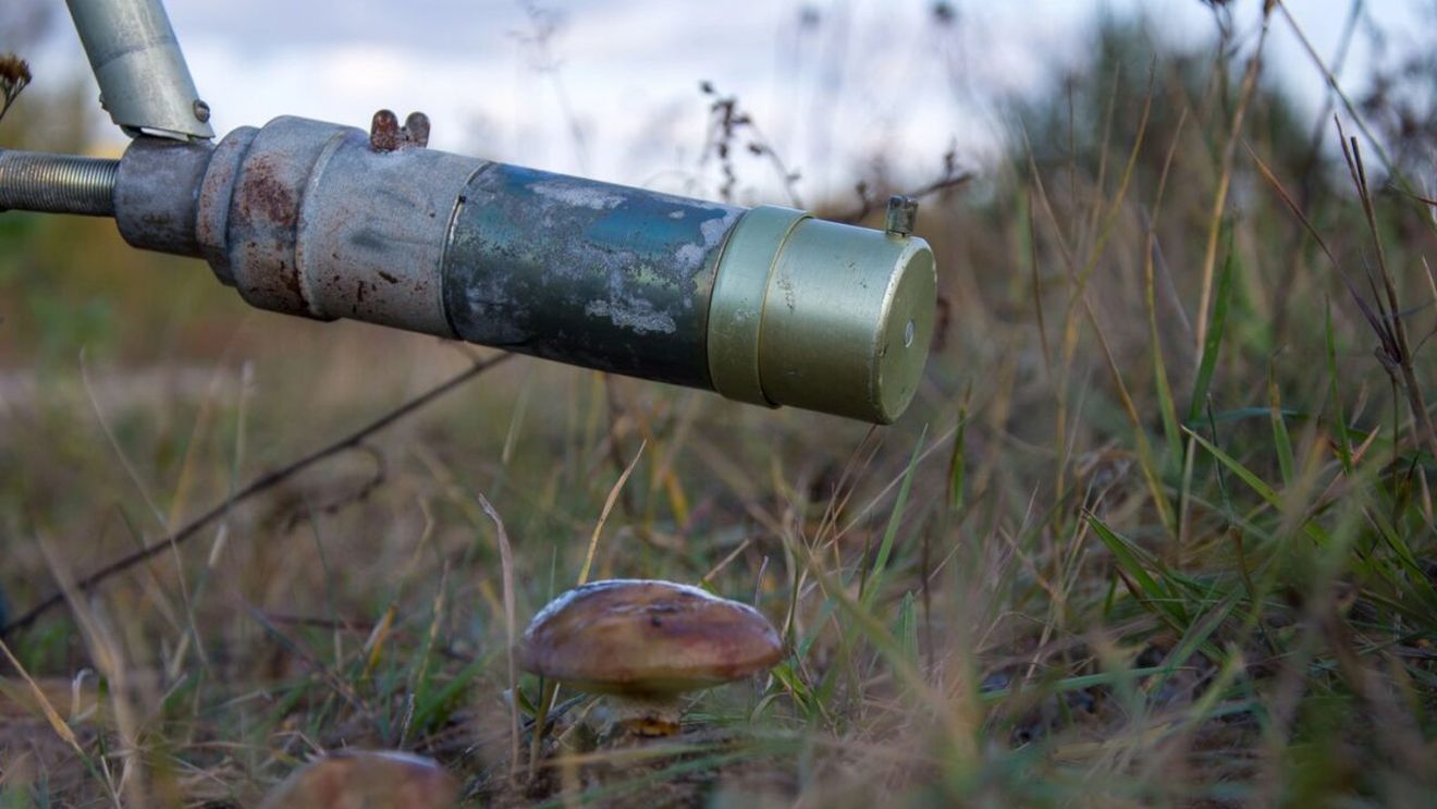 Ciuperca misterioasă de la Cernobîl care se hrănește cu radiații. Ce este și cum ar putea fi folosită în beneficiul oamenilor