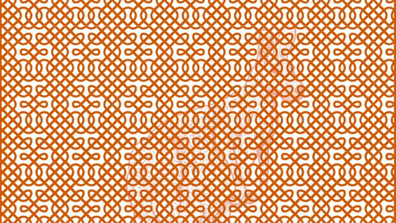 Iluzie optică virală | Ce animal vezi în această imagine? Dacă răspunzi în 10 secunde, ești un geniu