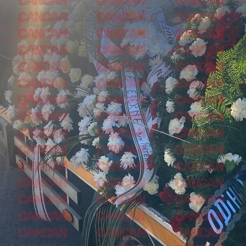 Imagine Galerie #1