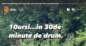 Galerie foto - poza 3