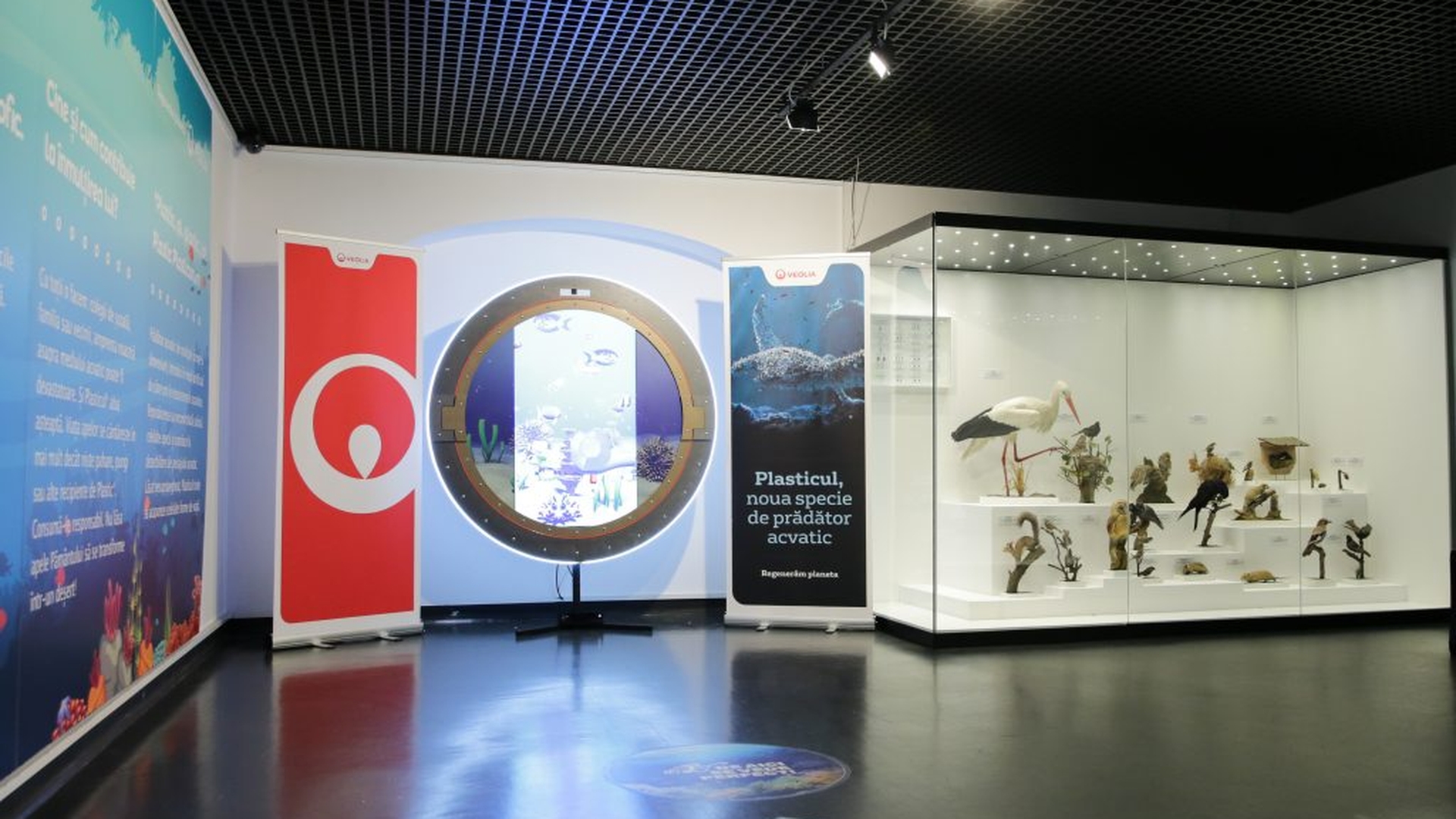 Veolia România susține lupta împotriva plasticului printr-o dioramă multimedia expusă la Muzeul Național de Istorie Naturală ,,Grigore Antipa”