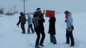 Tarcurile de la Glina, din nou sub nameti! Iata ce au gasit voluntarii la adapostul de la Glina