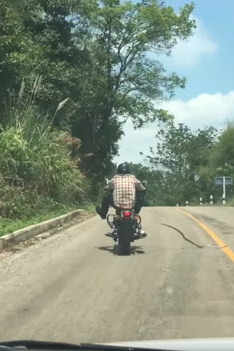 Acest motociclist a fost atacat de către un şarpe care parcă „zboară“ spre el, iar imaginile au devenit virale instant!