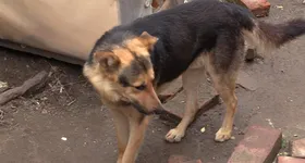 Galerie foto - poza 2